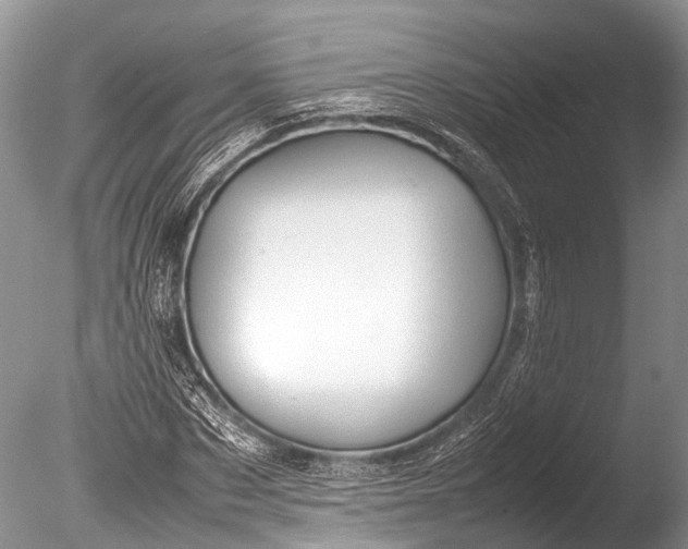 X0000085740873200703301425