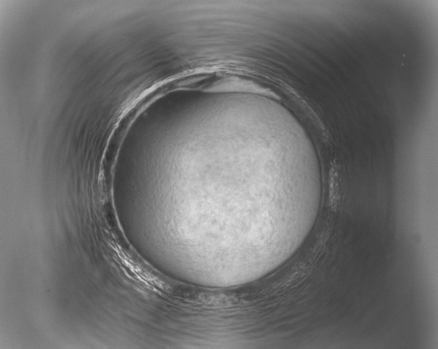 X0000085740876200703301425