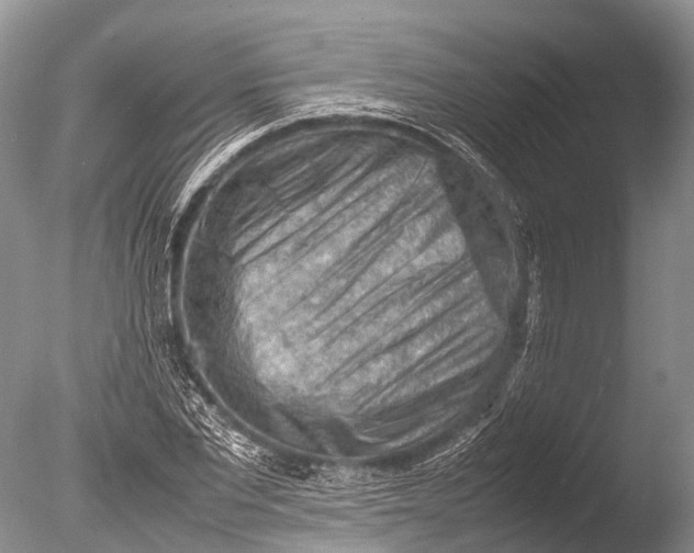 X0000085740877200703301425