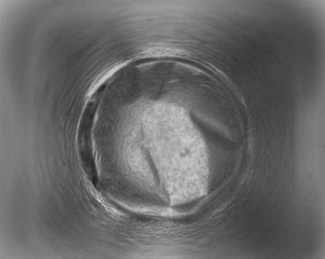 X0000085740885200703301425