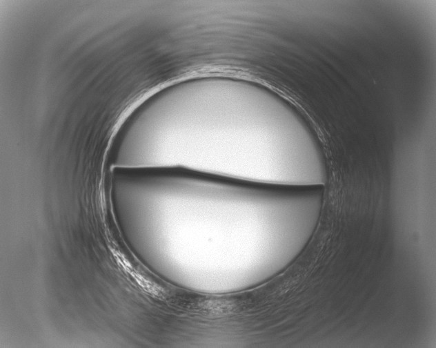 X0000085740888200703301425