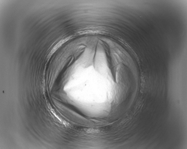 X0000085740890200703301425