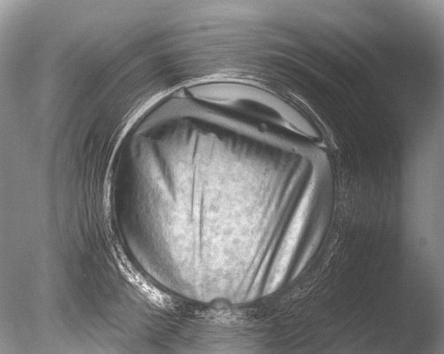 X0000085740900200703301425