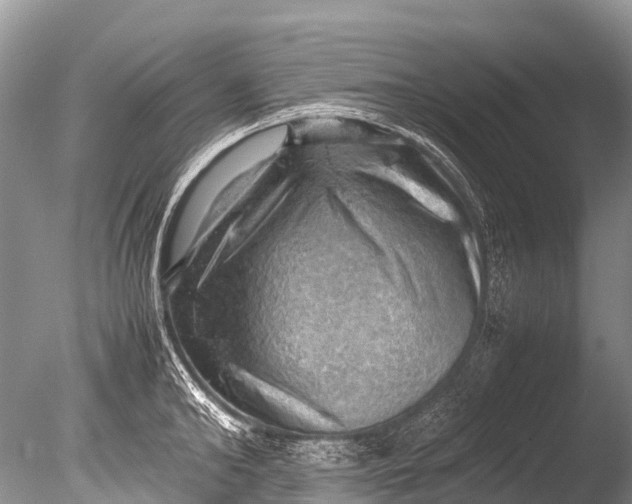 X0000085740902200703301425