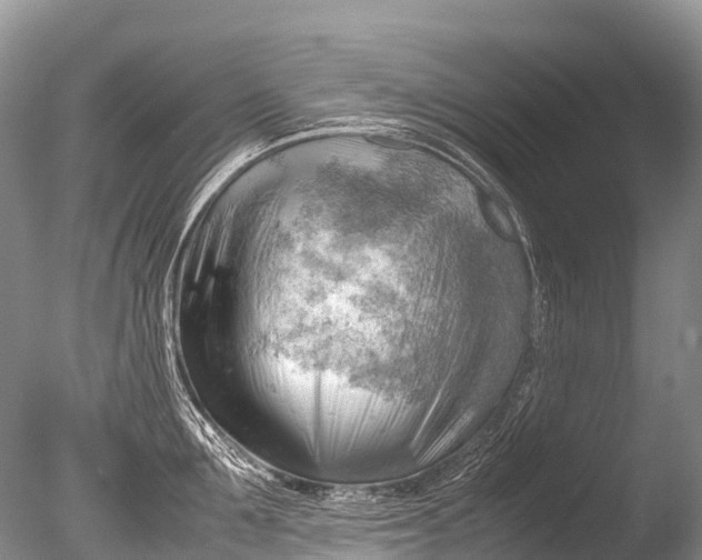 X0000085740907200703301425