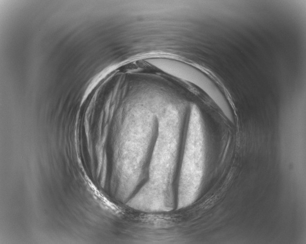X0000085740910200703301425