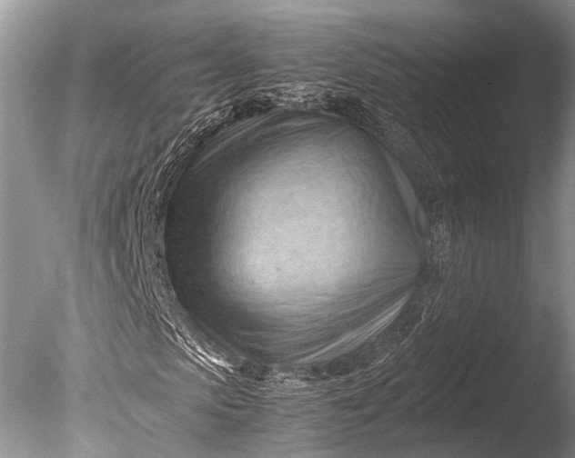 X0000085740913200703301424