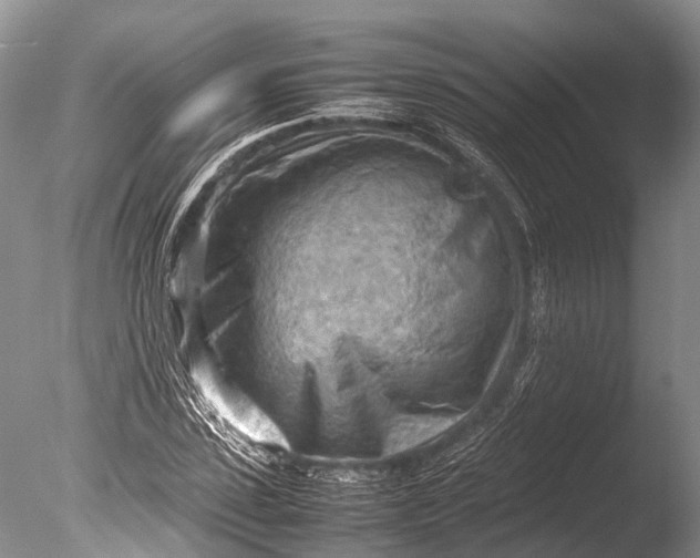 X0000085740923200703301424