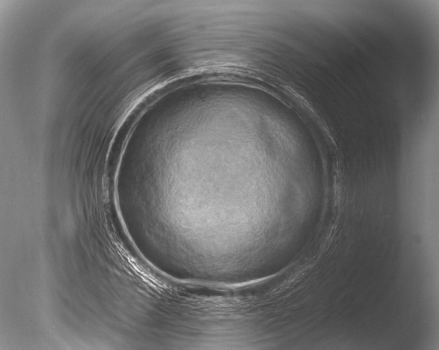 X0000085740924200703301424
