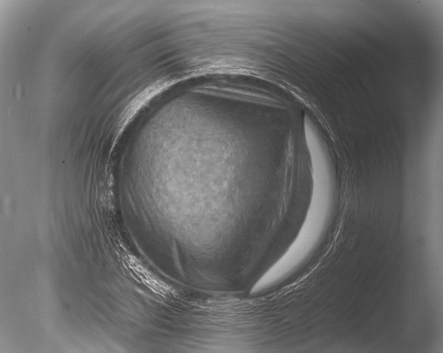 X0000085740926200703301424