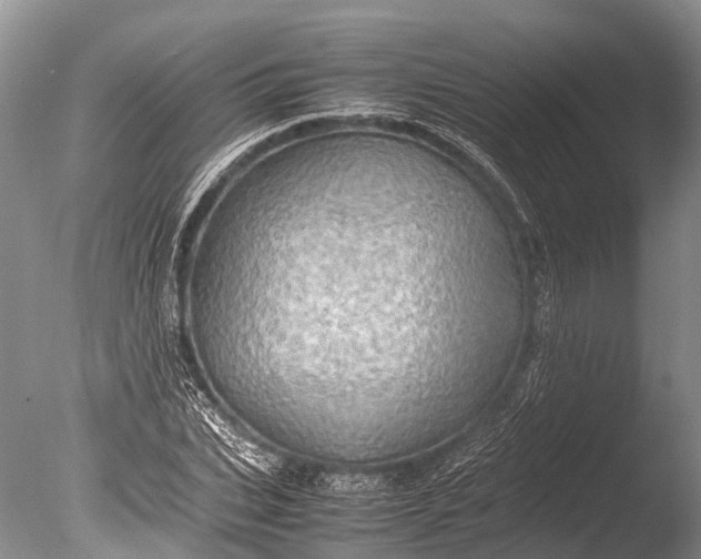 X0000085740927200703301424
