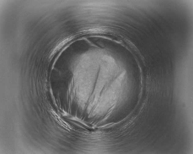 X0000085740930200703301424