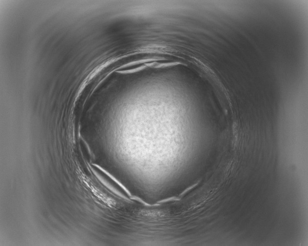 X0000085740931200703301424