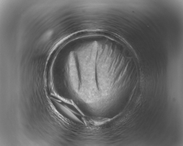 X0000085740935200703301424