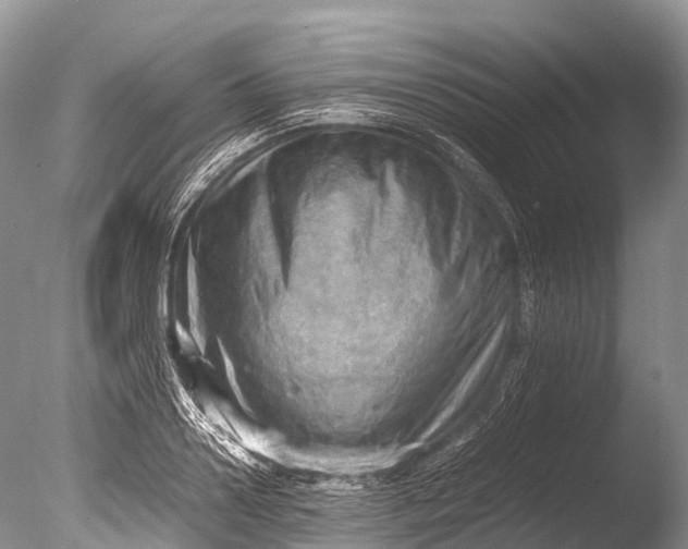 X0000085740938200703301424