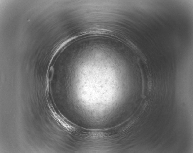 X0000085740940200703301424