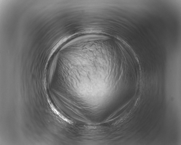 X0000085740941200703301424