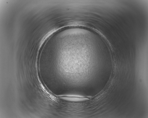 X0000085740943200703301424