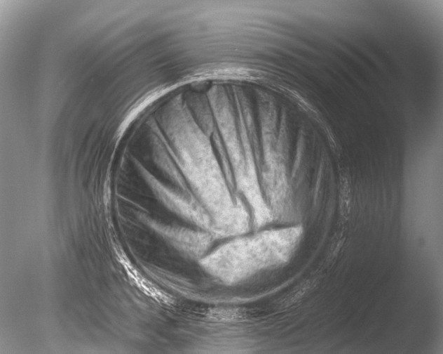 X0000085740944200703301424