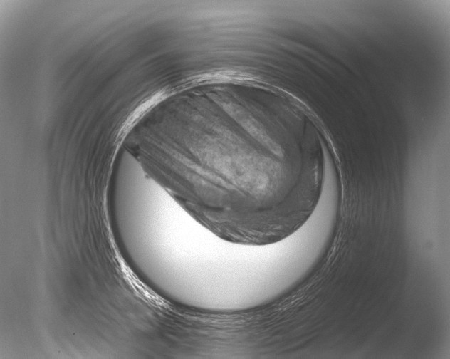 X0000085740946200703301424