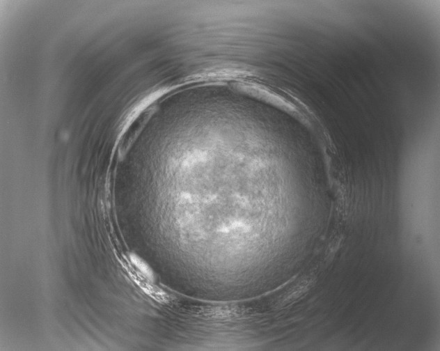 X0000085740948200703301424