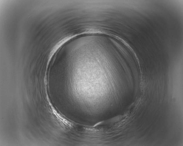 X0000085740951200703301424