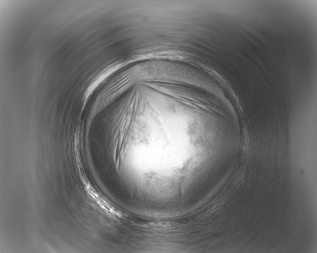 X0000085740952200703301424