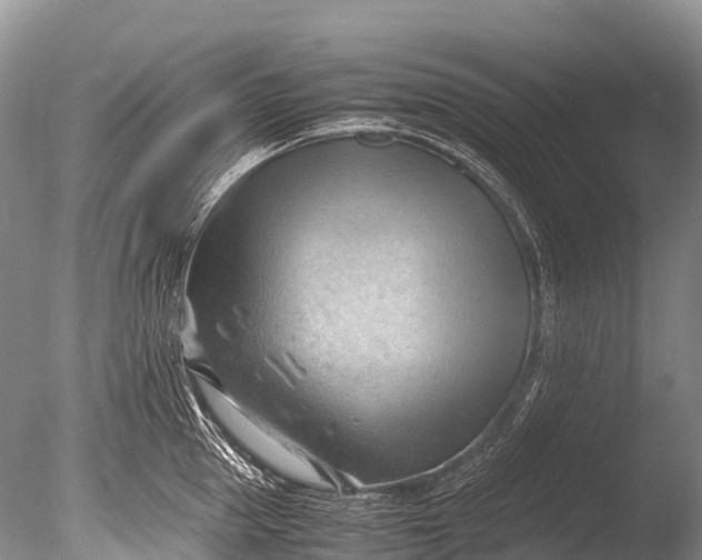 X0000085740953200703301424