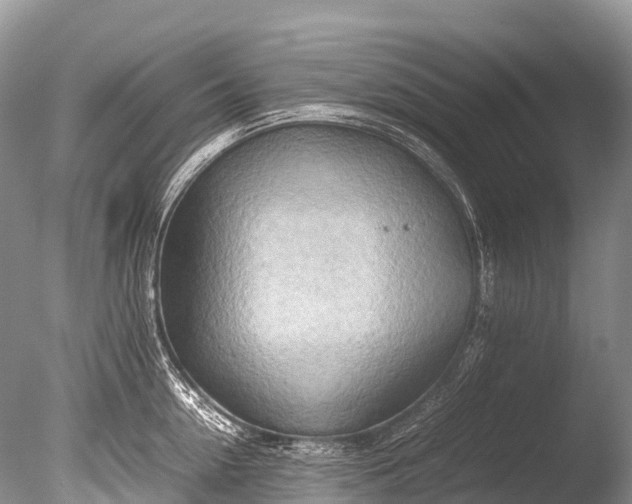 X0000085740954200703301424