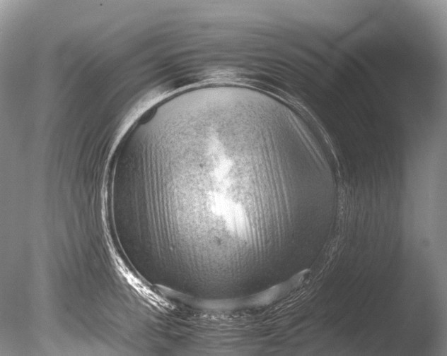 X0000085740955200703301424