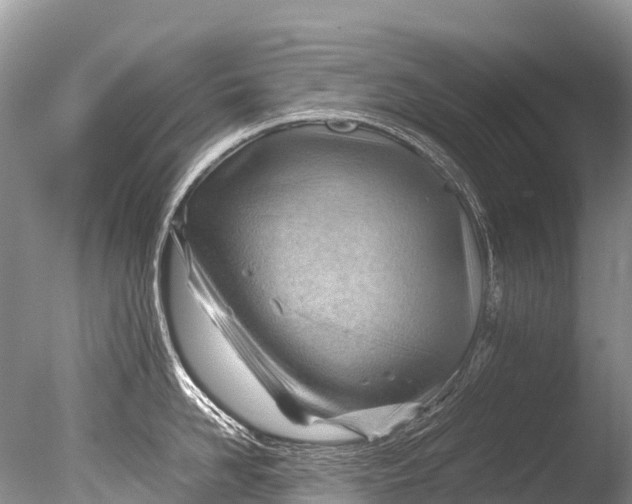 X0000085740958200703301425