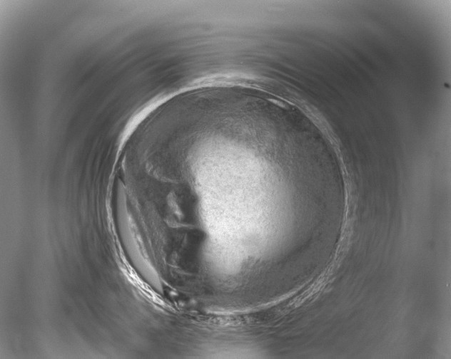 X0000085740960200703301425