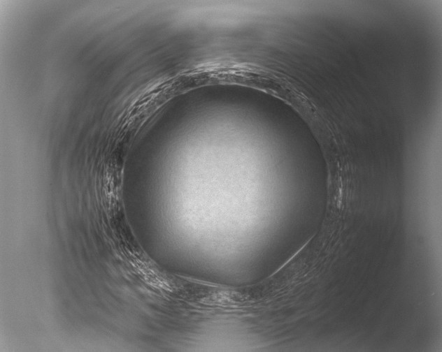 X0000085740966200703301424