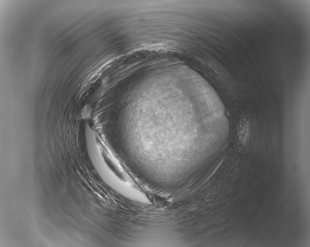 X0000085740968200703301424