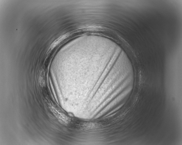 X0000085740970200703301424