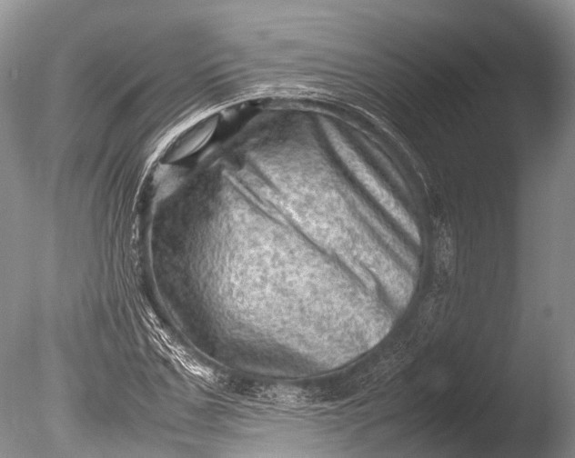 X0000085740971200703301424