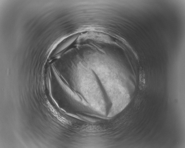 X0000085740972200703301424