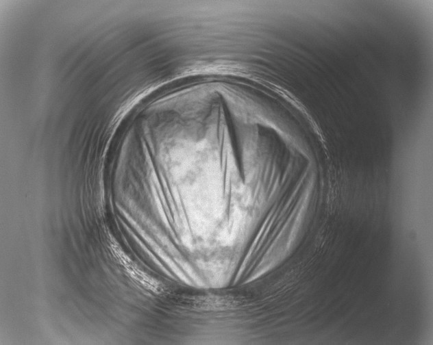 X0000085740980200703301423