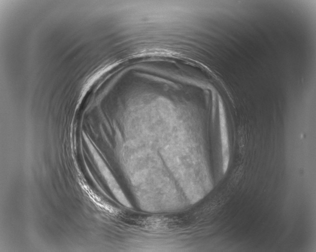 X0000085740987200703301423