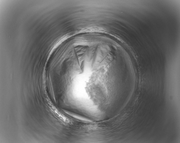 X0000085740990200703301423