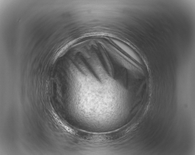 X0000085740993200703301423