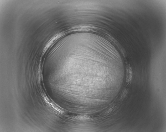 X0000085740994200703301423