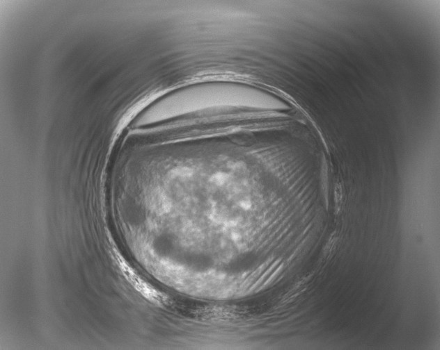 X0000085740995200703301423