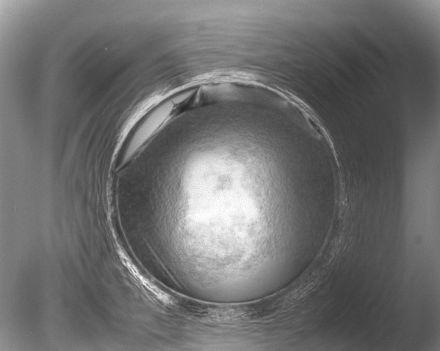 X0000085740997200703301423