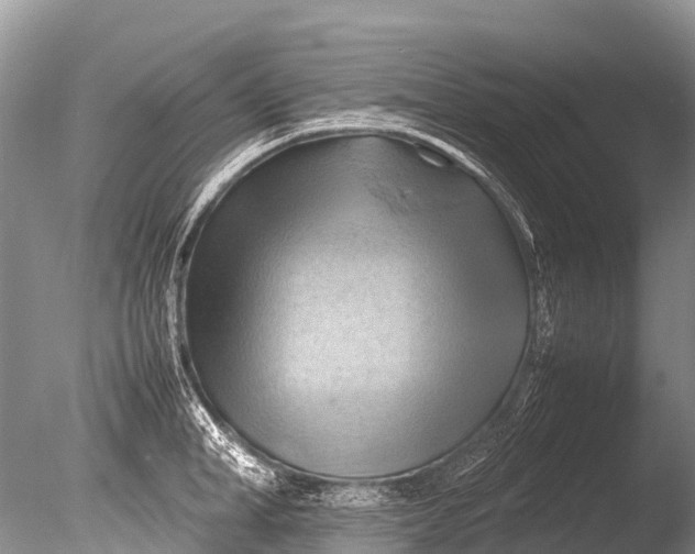 X0000085740998200703301423