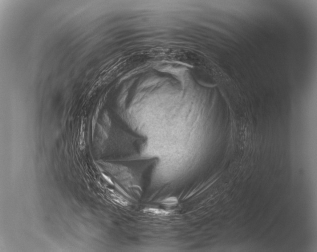 X0000085741013200703301422