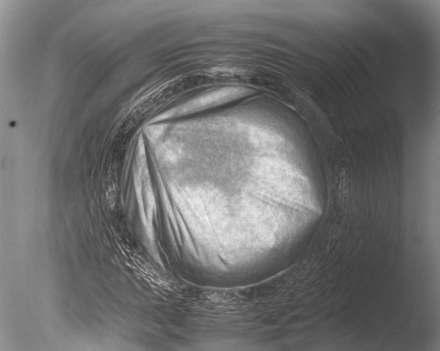 X0000085741015200703301422