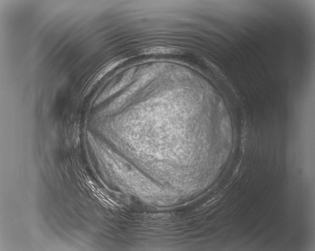 X0000085741017200703301422