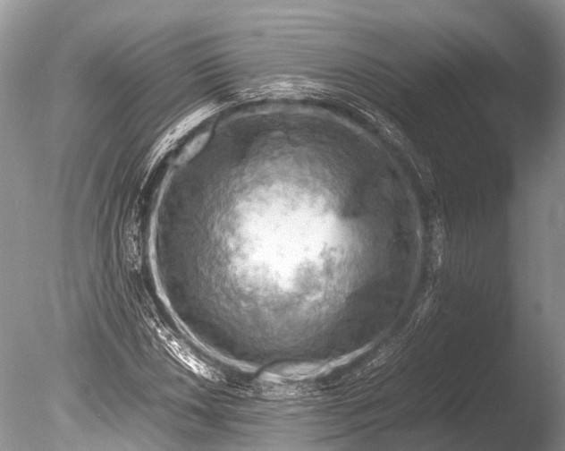 X0000085741018200703301422