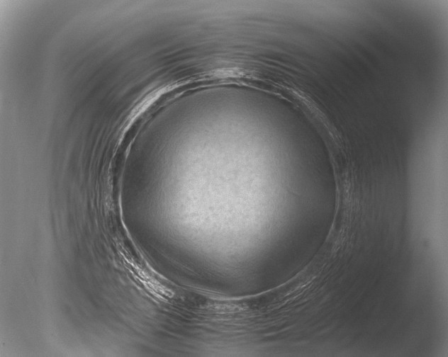 X0000085741023200703301422